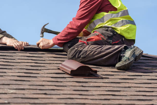 Roof Gutter Cleaning in Campton Hills, IL
