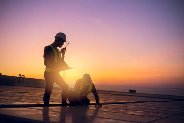 Best Gutter Installation and Roofing  in Campton Hls, IL